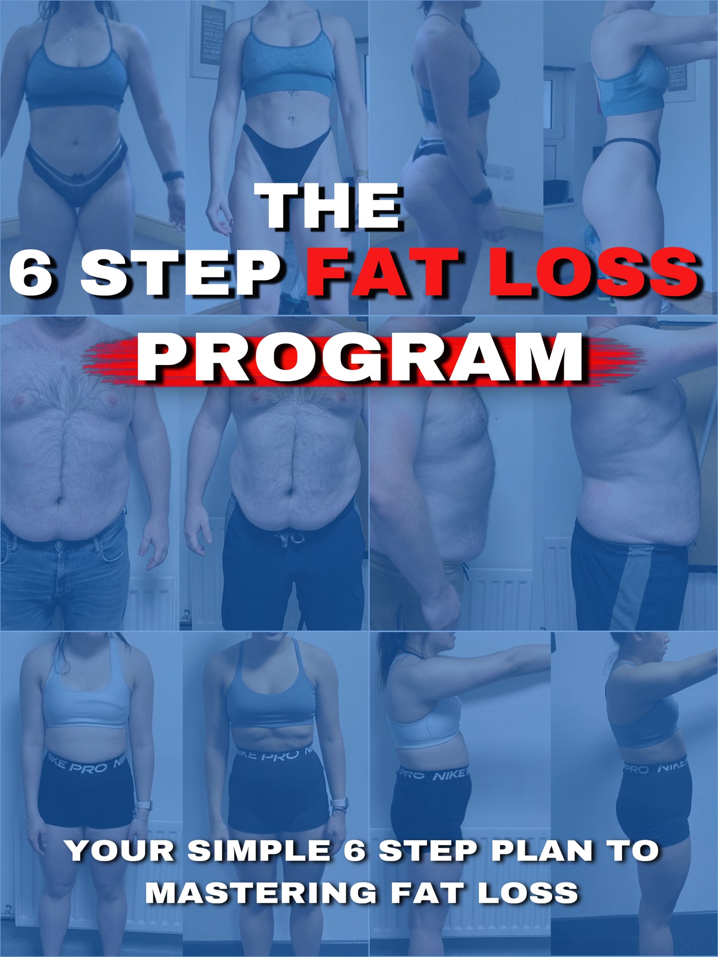 THE 6 STEP FAT LOSS PLAN
